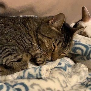 Meet your Posher, Maria